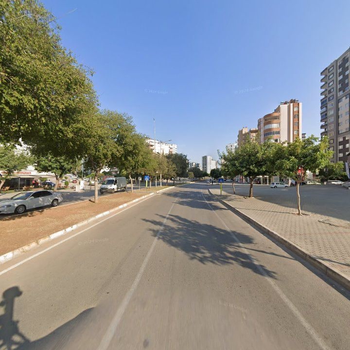 Fotoğraf 5