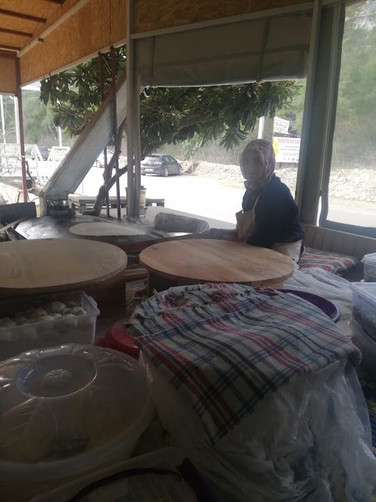 PAPATYA KIR BAHÇESİ