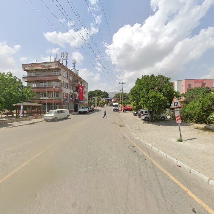 Fotoğraf 8