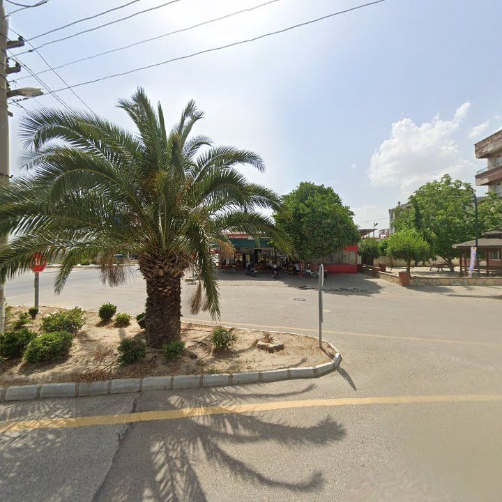 Fotoğraf 7