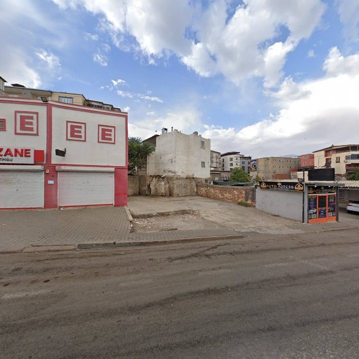 Fotoğraf 9