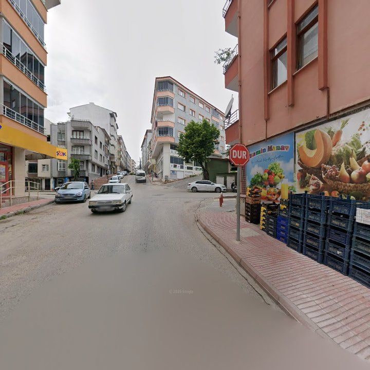 Fotoğraf 5