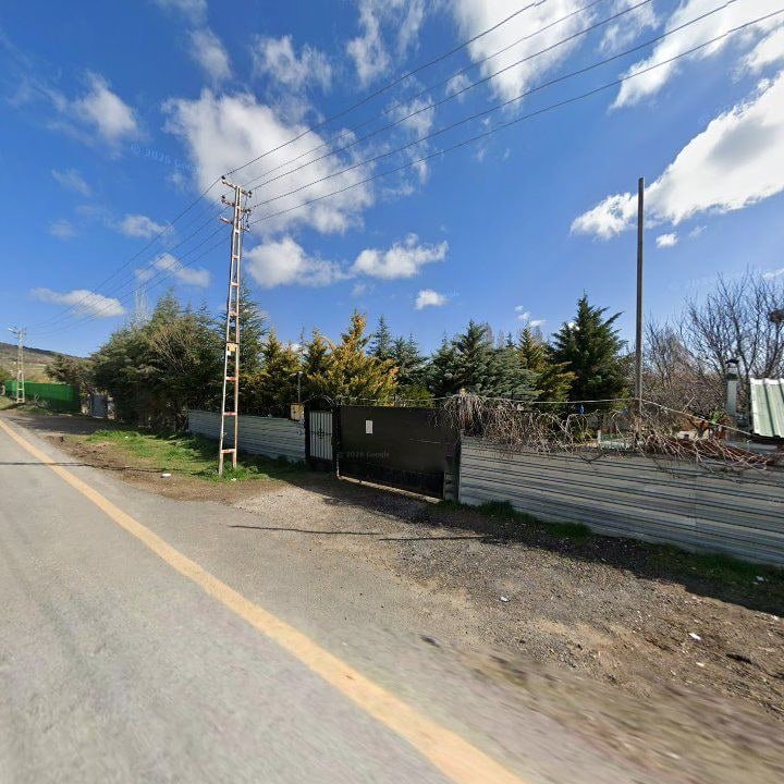 Fotoğraf 10