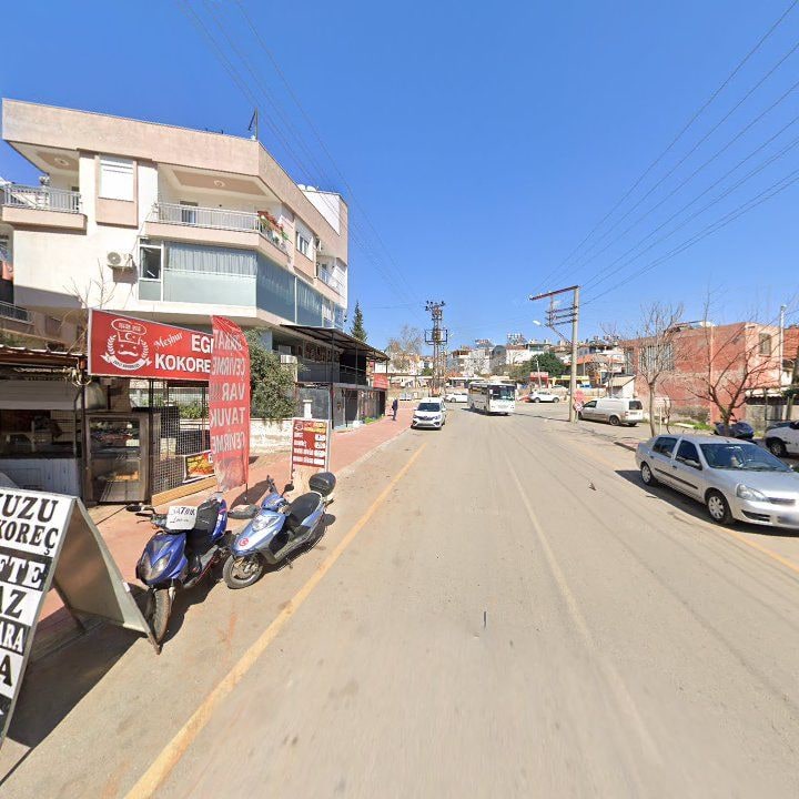 Fotoğraf 7