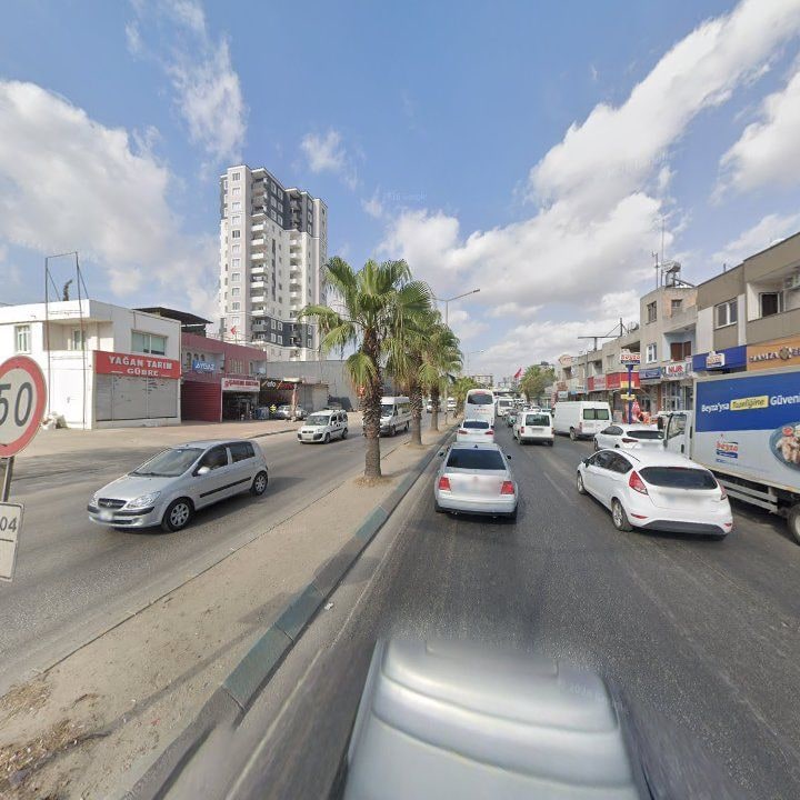 Fotoğraf 9