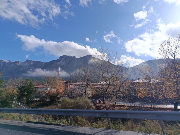 Park Alanı