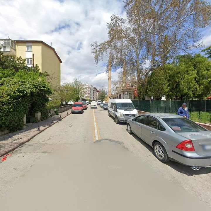 Fotoğraf 6