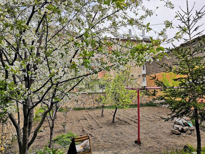 Park Mecidiye Dayı'nın Yeri