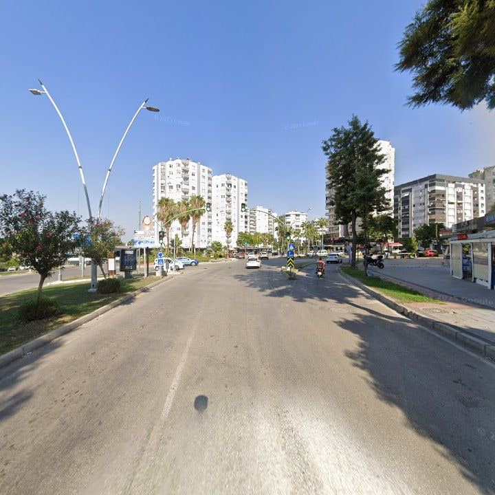 Fotoğraf 15