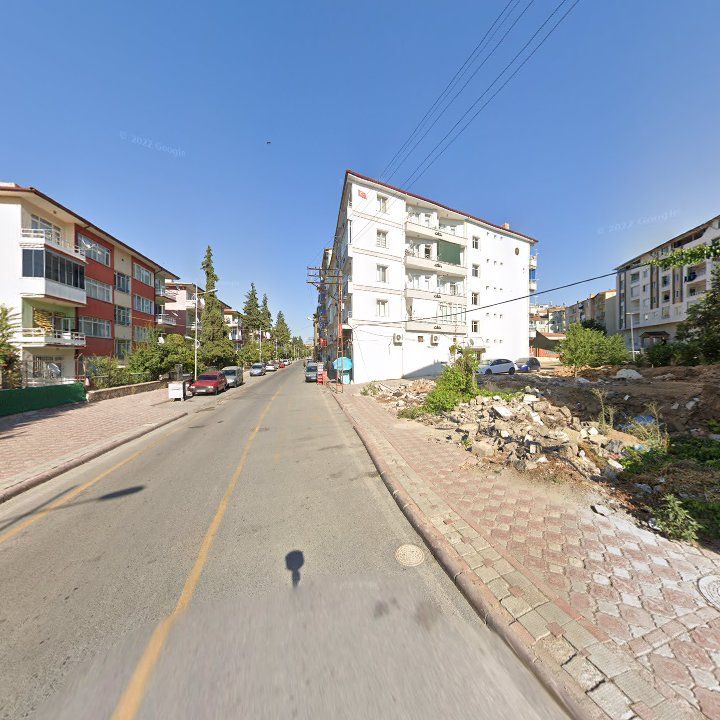 Fotoğraf 3