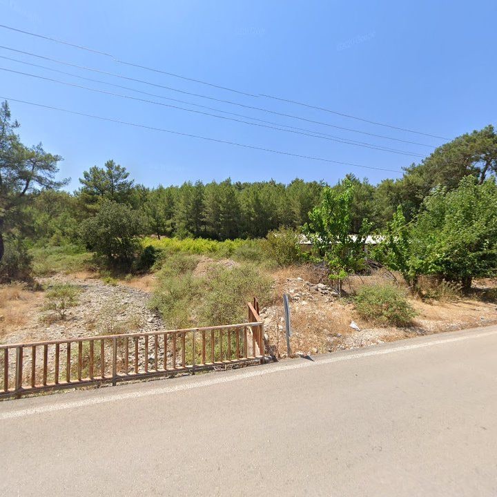 Fotoğraf 11