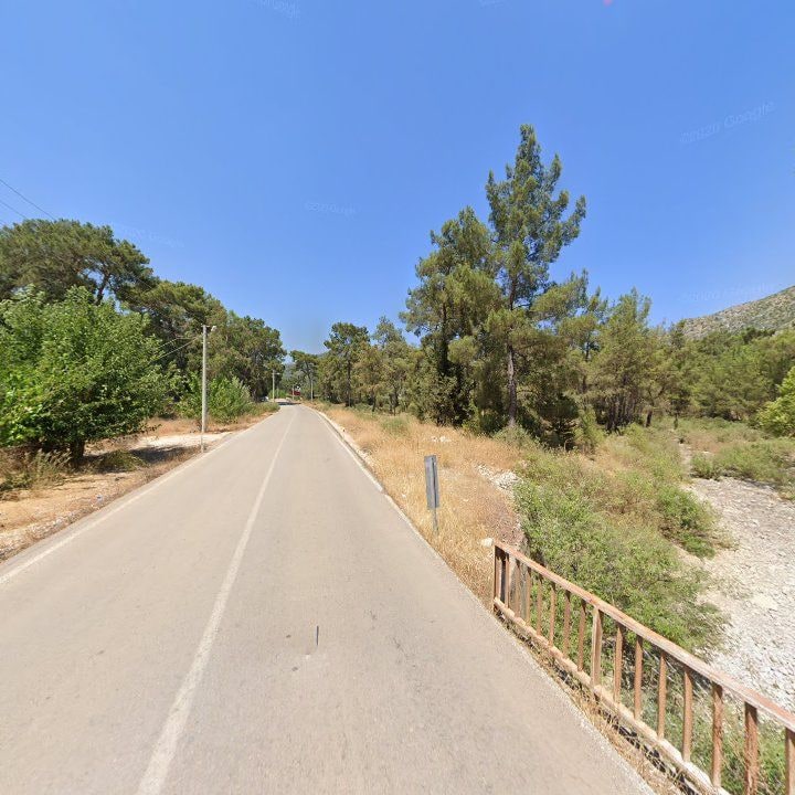 Fotoğraf 12