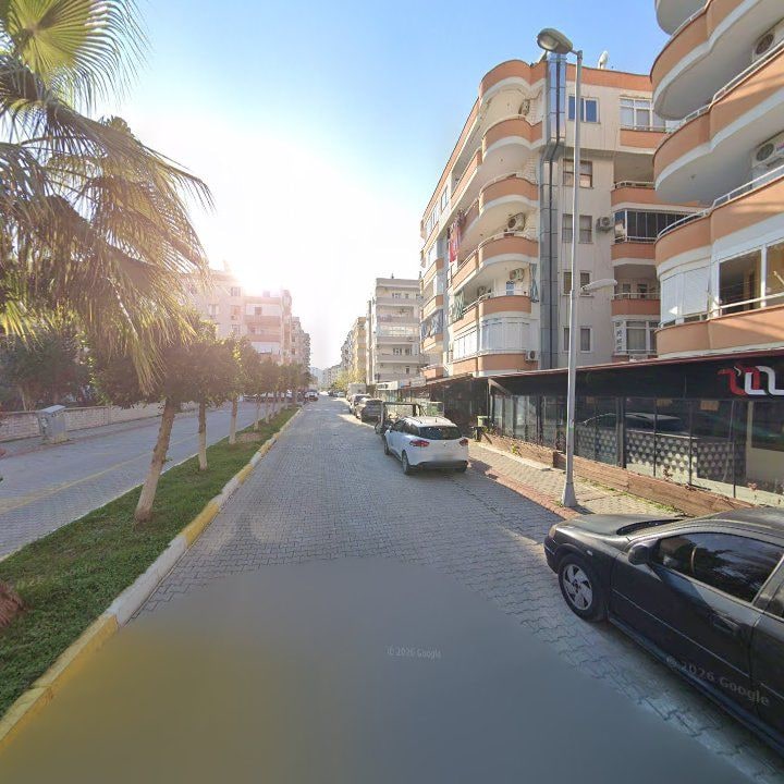 Fotoğraf 10
