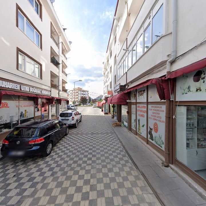 Fotoğraf 9