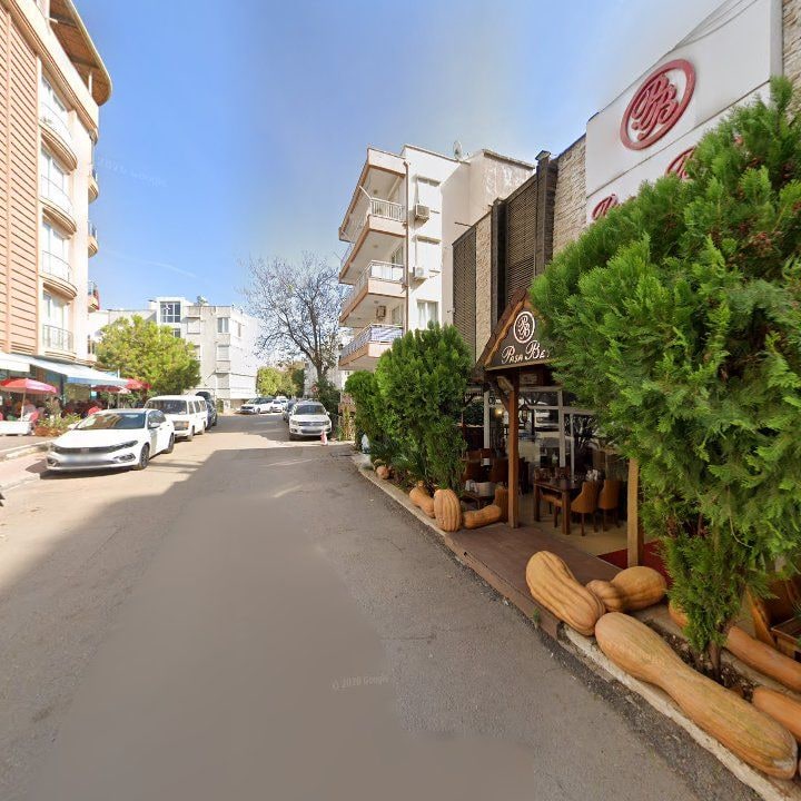 Fotoğraf 17