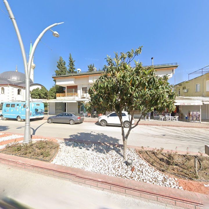 Fotoğraf 15