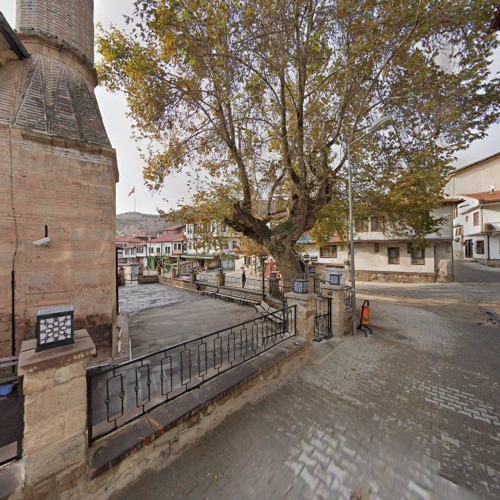Fotoğraf 10