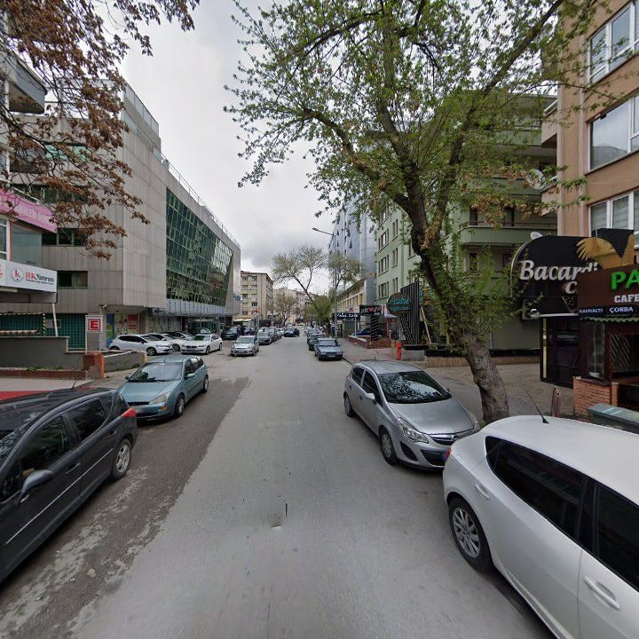 Fotoğraf 8
