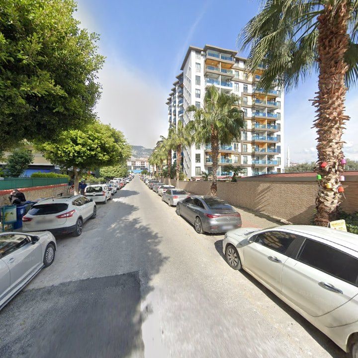Fotoğraf 8