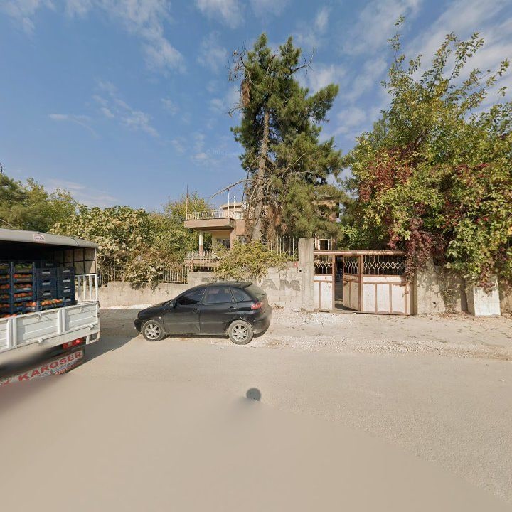Fotoğraf 4