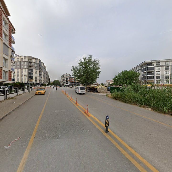 Fotoğraf 8