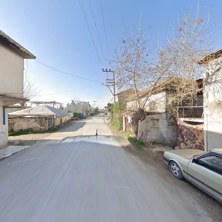 Fotoğraf 3