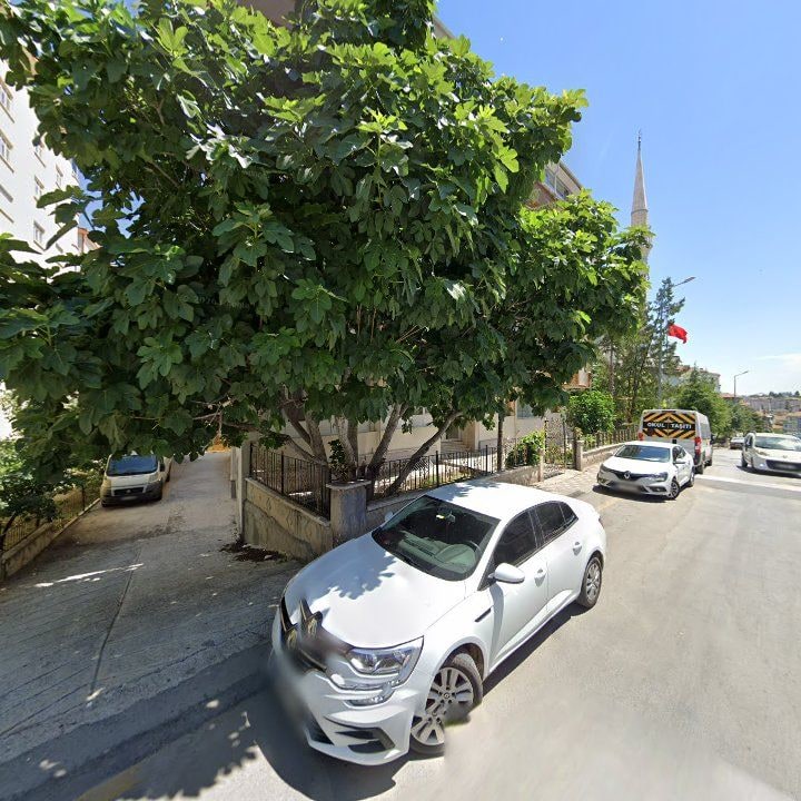 Fotoğraf 7
