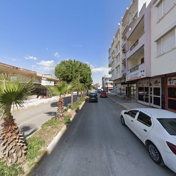 Fotoğraf 5