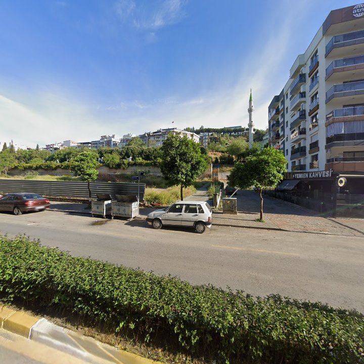 Fotoğraf 7