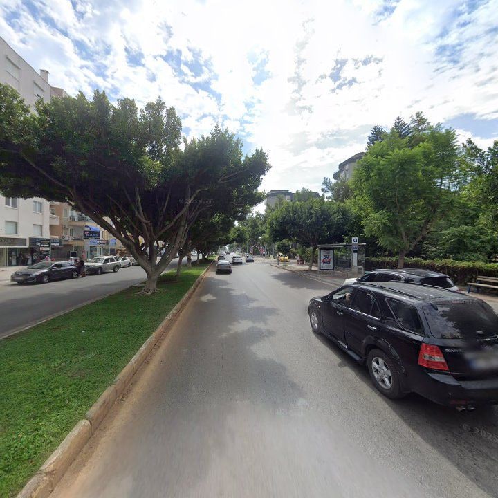 Fotoğraf 11