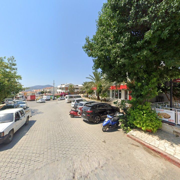 Fotoğraf 12