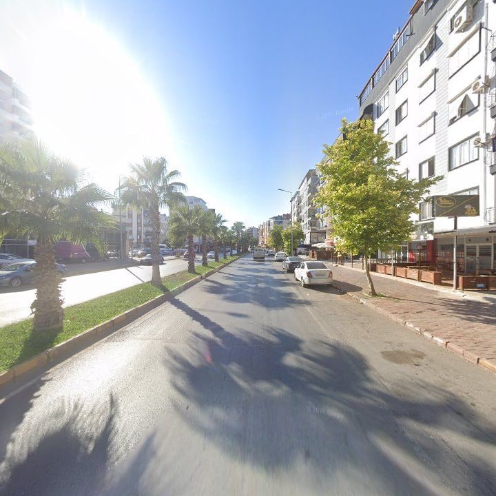 Fotoğraf 9