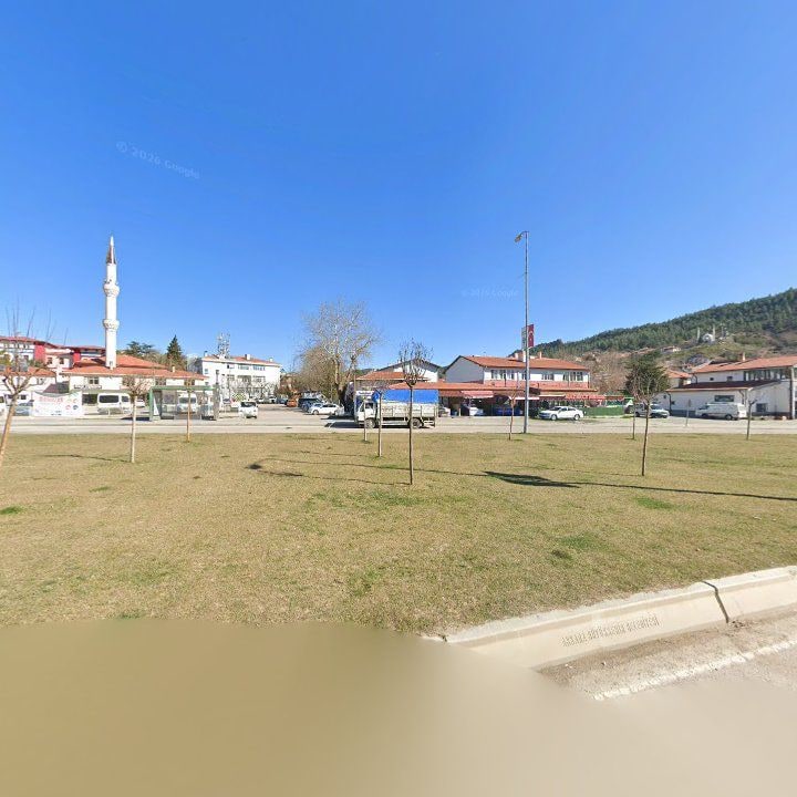 Fotoğraf 9