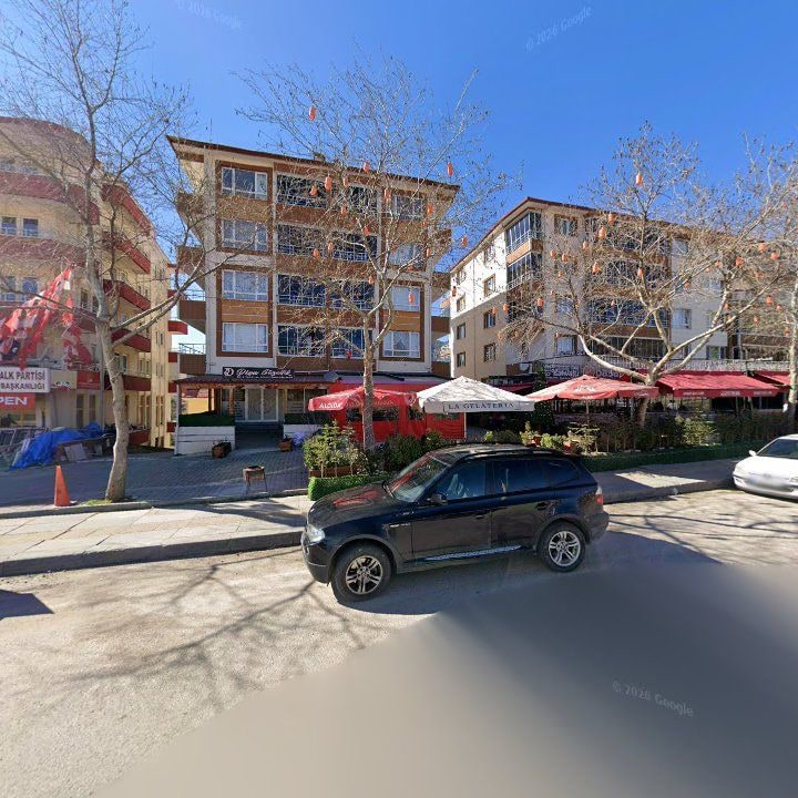 Fotoğraf 7