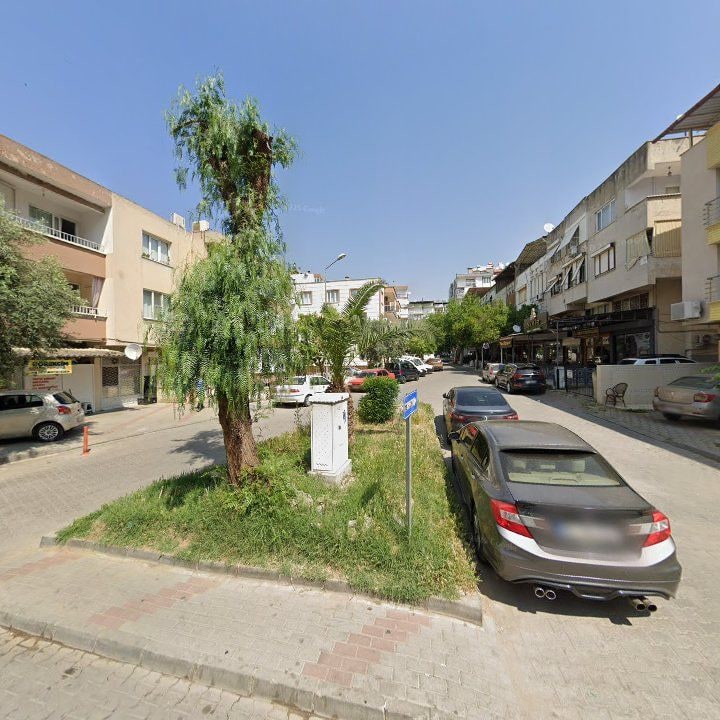 Fotoğraf 8