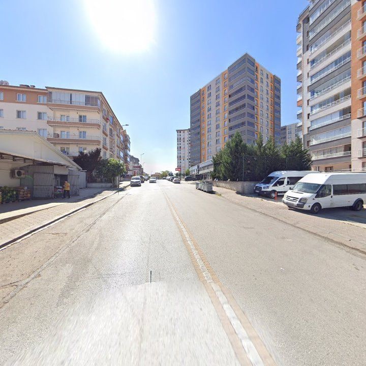 Fotoğraf 10