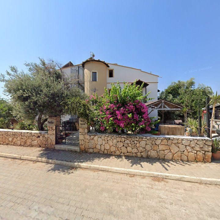 Fotoğraf 10