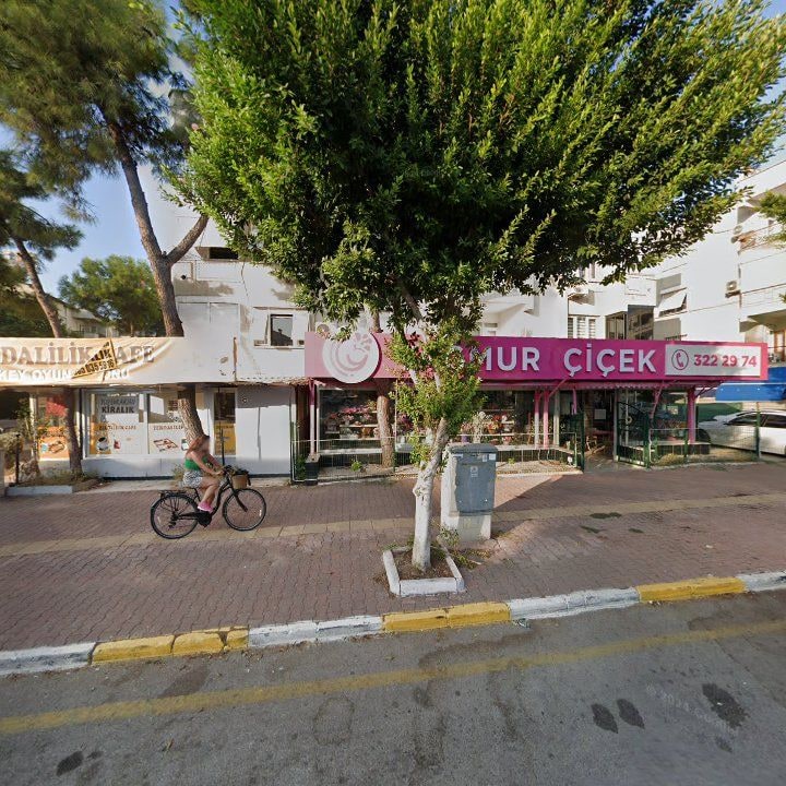 Fotoğraf 10