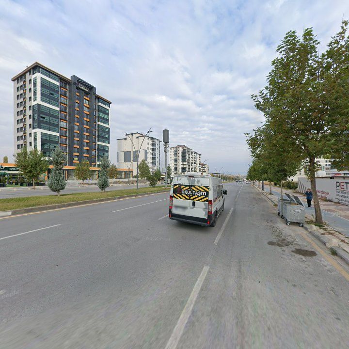 Fotoğraf 12