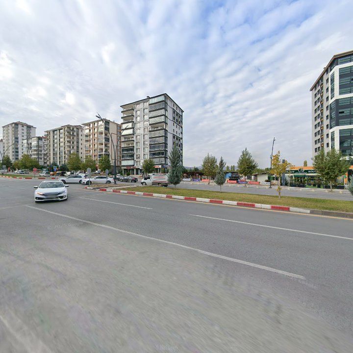 Fotoğraf 11