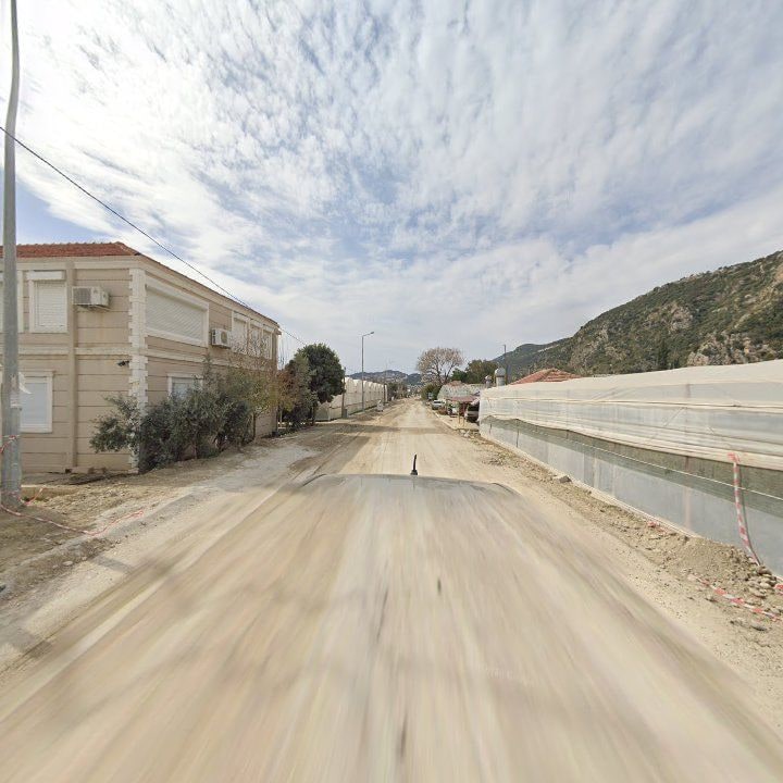 Fotoğraf 12