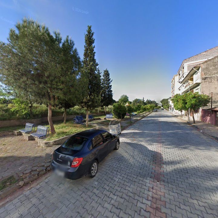 Fotoğraf 7