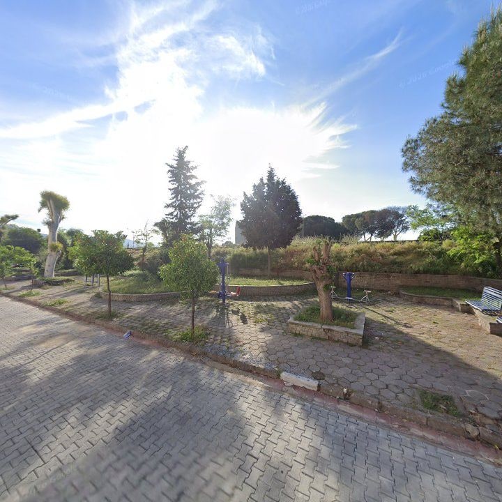 Fotoğraf 10