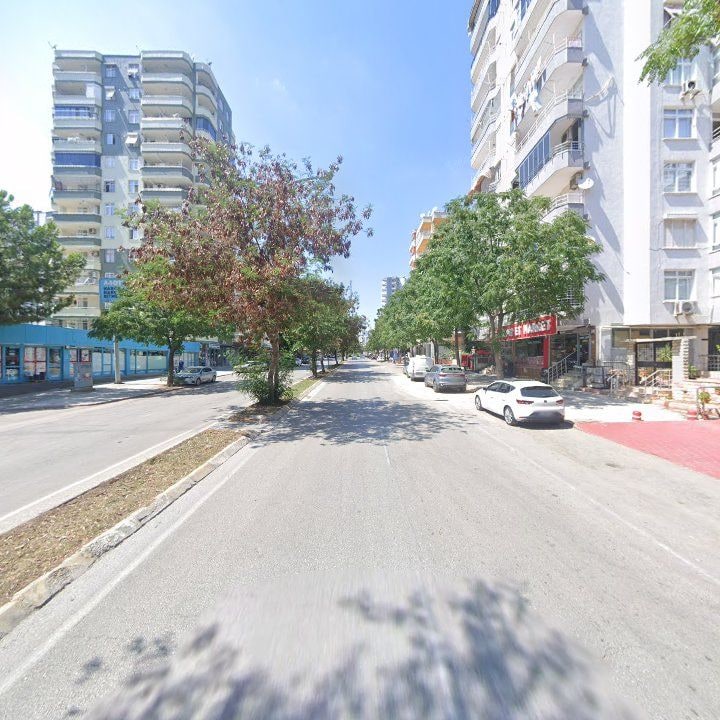 Fotoğraf 8