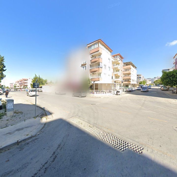 Fotoğraf 9