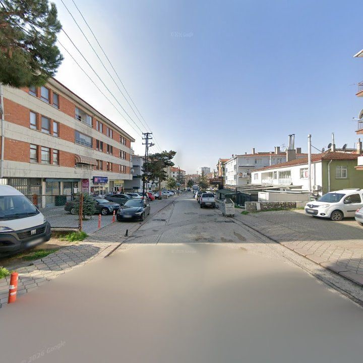 Fotoğraf 10