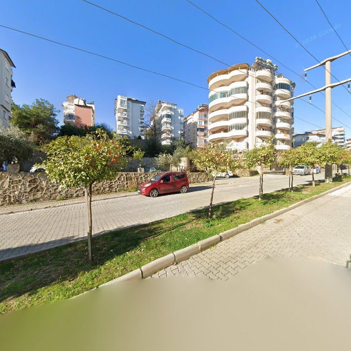 Fotoğraf 9