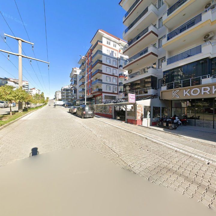 Fotoğraf 10