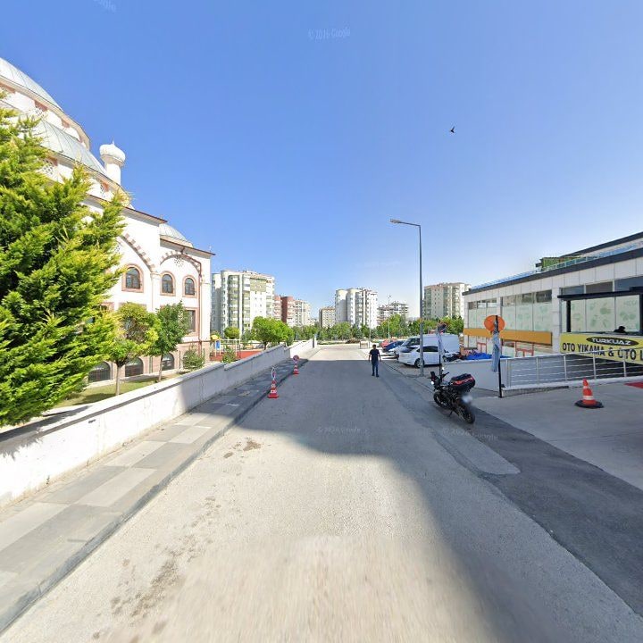 Fotoğraf 8
