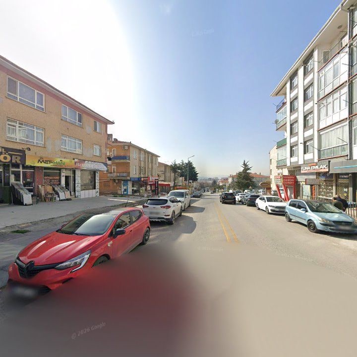 Fotoğraf 12